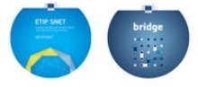 BRIDGE and ETIP SNET