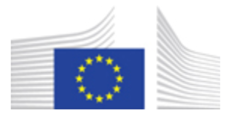 Directorate A (Energy Policy: Strategy and Coordination),  Directorate-General for Energy, European Commission